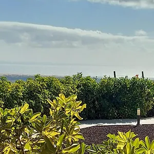 The Black Horse Canarias - Adults Only Landhuis